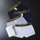 CUECA BOX MASCULINA CALVIN KLEIN - CORES VARIADAS - CÓS DOURADO - PAGUE 3, LEVE 5